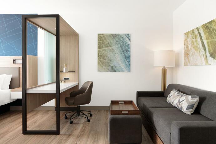 Imagen general del SpringHill Suites by Marriott Roanoke North. Foto 6