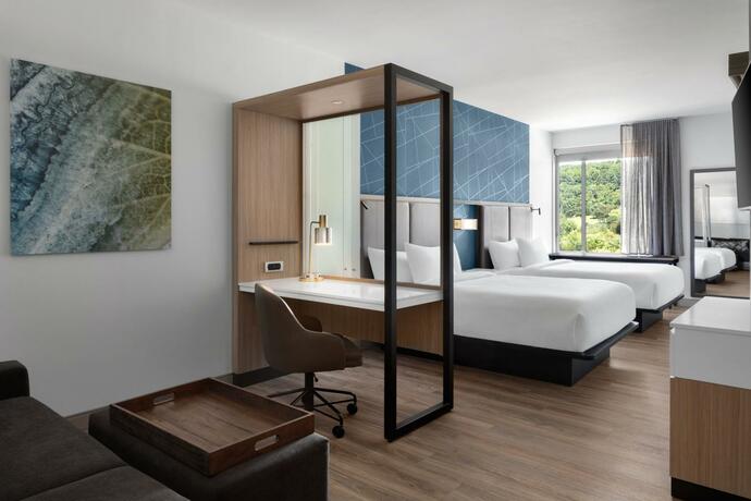 Imagen general del SpringHill Suites by Marriott Roanoke North. Foto 9