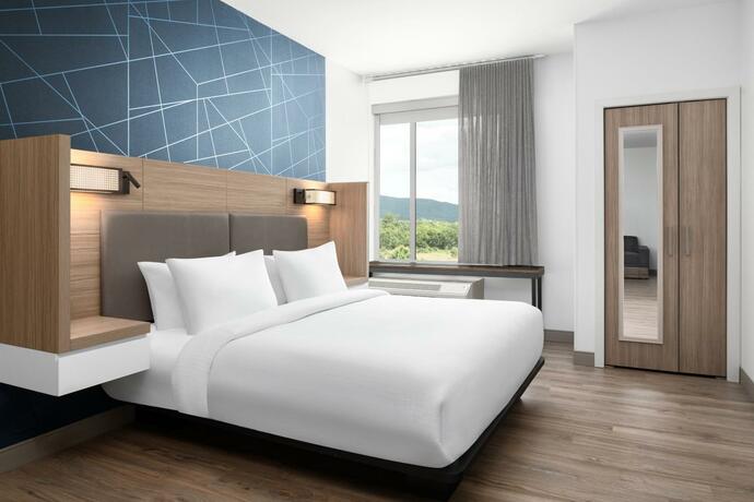 Imagen general del SpringHill Suites by Marriott Roanoke North. Foto 10