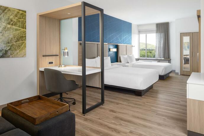 Imagen general del SpringHill Suites by Marriott Roanoke North. Foto 14