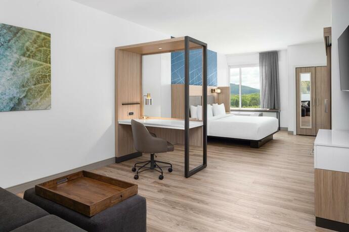 Imagen general del SpringHill Suites by Marriott Roanoke North. Foto 18