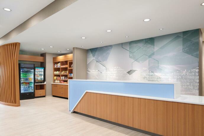 Imagen general del SpringHill Suites by Marriott Roanoke North. Foto 23