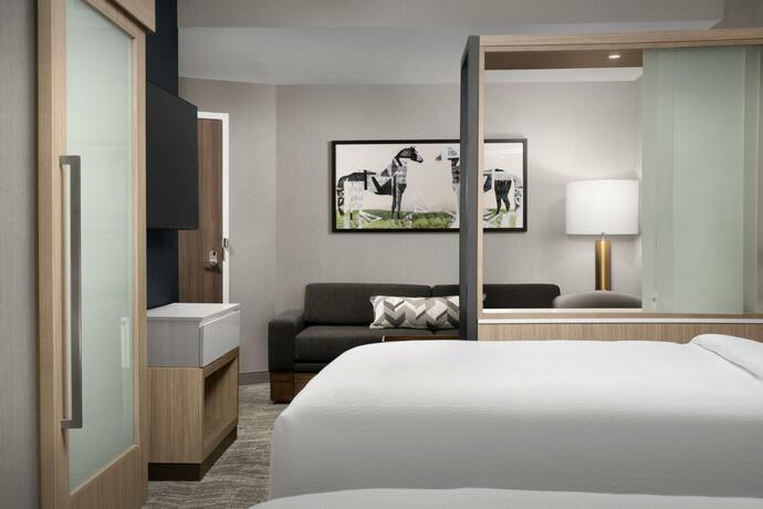 Imagen general del Springhill Suites by Marriott Lexington Fritz Farm. Foto 1