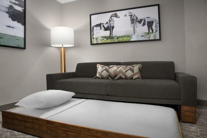 Imagen general del Springhill Suites by Marriott Lexington Fritz Farm. Foto 7