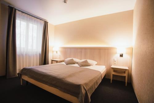 Imagen de la habitación del Sribni Leleky Hotel & Spa. Foto 6
