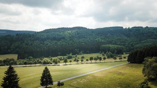 Imagen general del St. Bonifatius. Foto 10