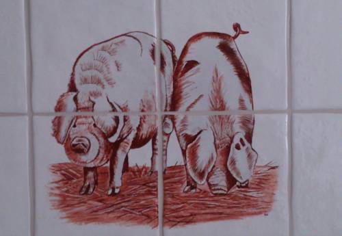 Imagen de la habitación del Stal Zwartschaap. Foto 6