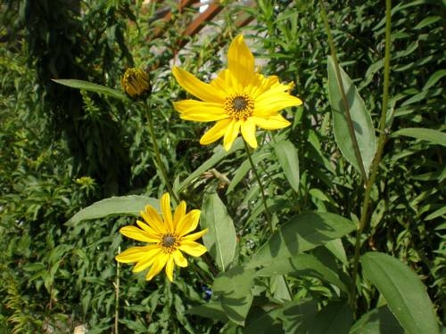 Imagen general del Stallerhof. Foto 4