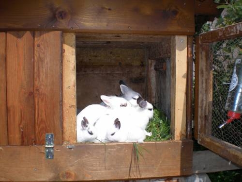 Imagen general del Stallerhof. Foto 2