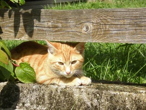 Imagen general del Stallerhof. Foto 3