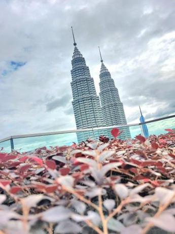 Imagen general del Star Popular by klcc. Foto 13