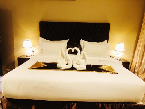 Imagen general del ستارفش Starfish. Foto 2