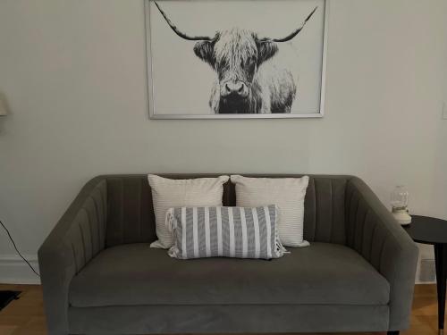 Imagen general del Stellar Suites (Long Stays). Foto 6