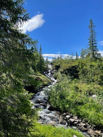 Imagen general del Storliens Fj&auml;llyor. Foto 19