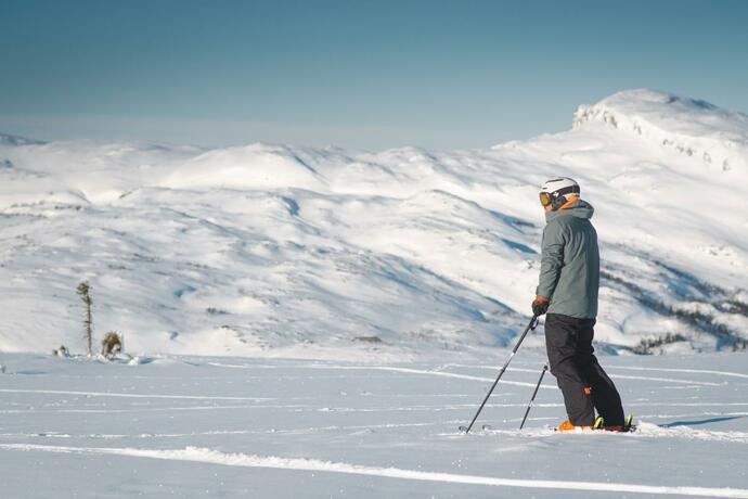 Imagen general del Storliens Fj&auml;llyor. Foto 22