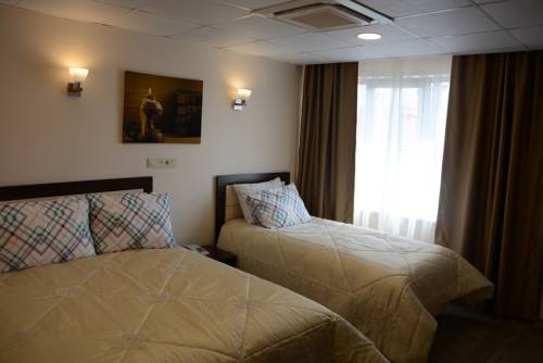 Imagen de la habitación del Sts Hotel Luleburgaz. Foto 2