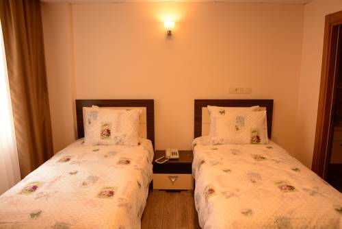 Imagen de la habitación del Sts Hotel Luleburgaz. Foto 5