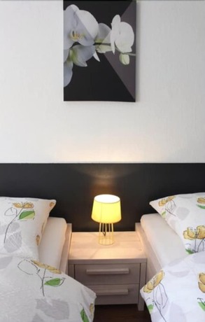 Imagen general del Studios Near Basel Airport - Rm 114. Foto 4