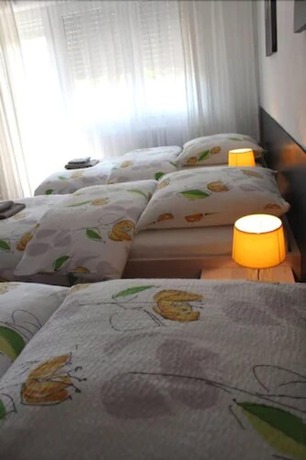 Imagen general del Studios Near Basel Airport - Rm 114. Foto 5