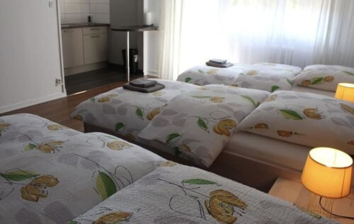 Imagen general del Studios Near Basel Airport - Rm 114. Foto 6