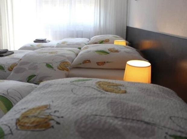 Imagen de la habitación del Studios Near Basel Airport - Rm 114. Foto 9