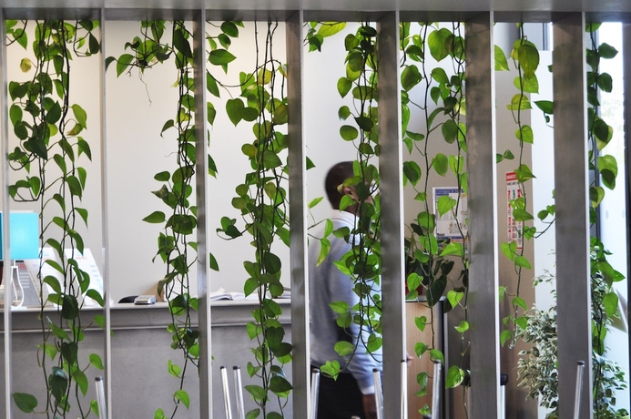 Imagen de los interiores del Study Hôtel. Foto 17