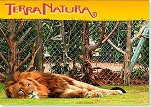 Imagen de la habitación del Sucina Villas. Foto 6