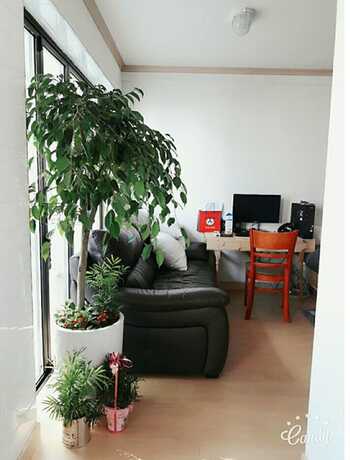 Imagen general del Sudabang Guesthouse. Foto 12