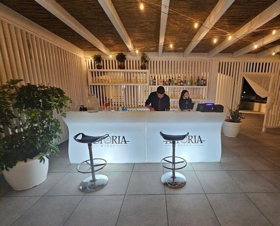 Imagen general del Suite Hotel Dominicus. Foto 12