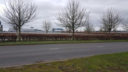 Imagen general del Suitehuts @ Silverstone. Foto 9