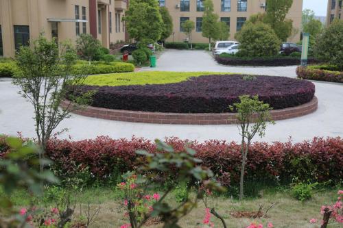 Imagen general del Suizhou Suixian Shennong International Hotel. Foto 7