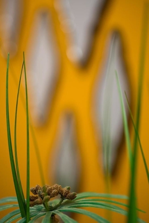 Imagen de los interiores del Sun City Hotel. Foto 10