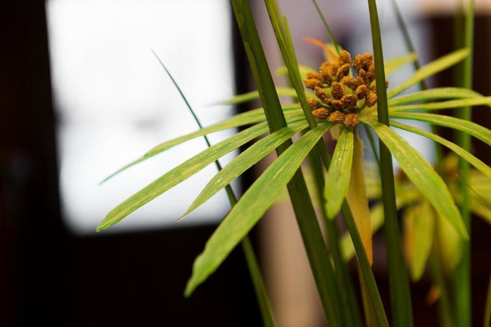 Imagen de los interiores del Sun City Hotel. Foto 11