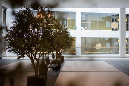 Imagen general del Suncity Hotel & SPA. Foto 12