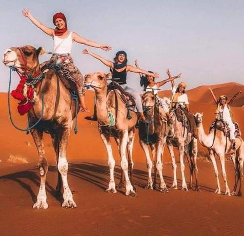 Imagen general del Sunny Camp Merzouga. Foto 6