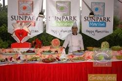 Imagen general del Sunpark Garden Hotel. Foto 3