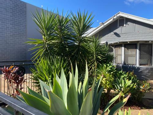 Imagen general del Sunraysia Stays. Foto 2