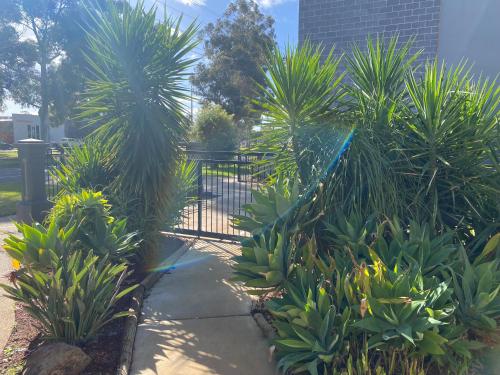 Imagen general del Sunraysia Stays. Foto 8