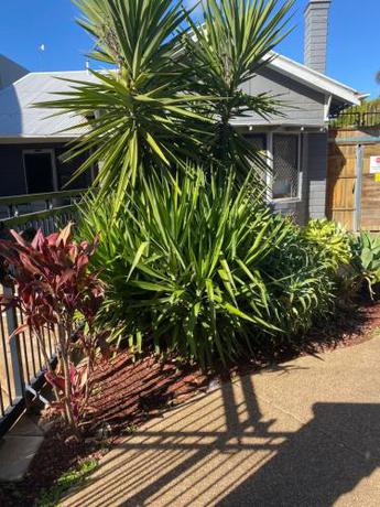 Imagen general del Sunraysia Stays. Foto 9