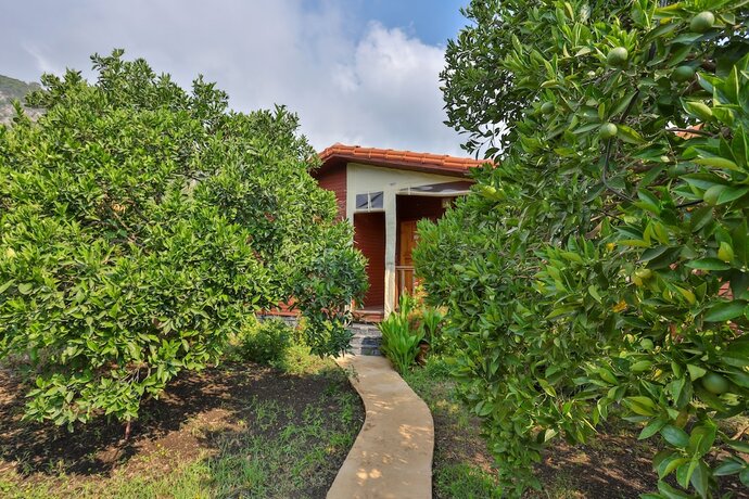 Imagen de la habitación del Sunrise Bungalows. Foto 18