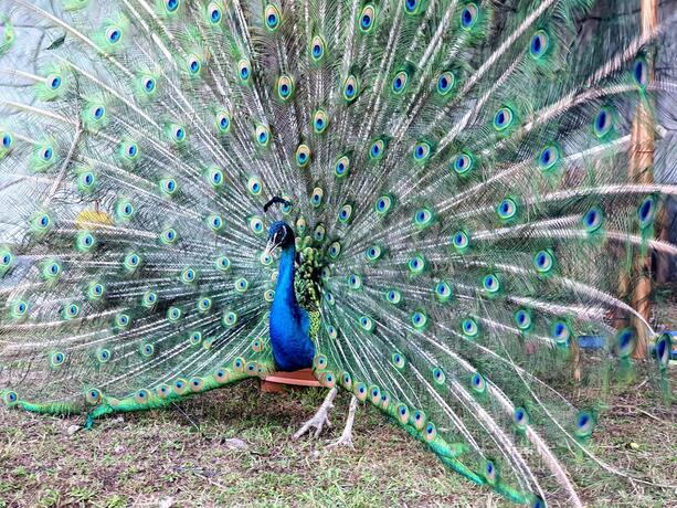 Imagen general del Sunrise Hotel. Foto 46