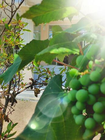 Imagen general del Sunrise Hotel. Foto 48