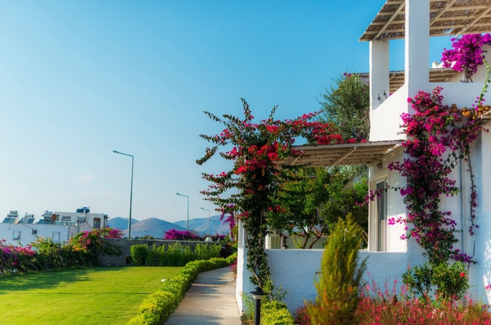 Imagen de los exteriores del Sunset Mavi. Foto 13