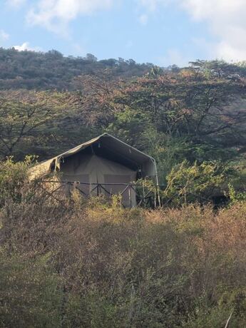 Imagen de la habitación del Sunset camp Masai Mara. Foto 14