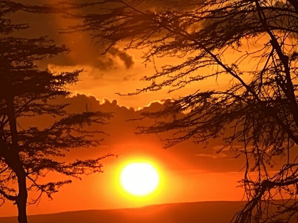 Imagen general del Sunset camp Masai Mara. Foto 6