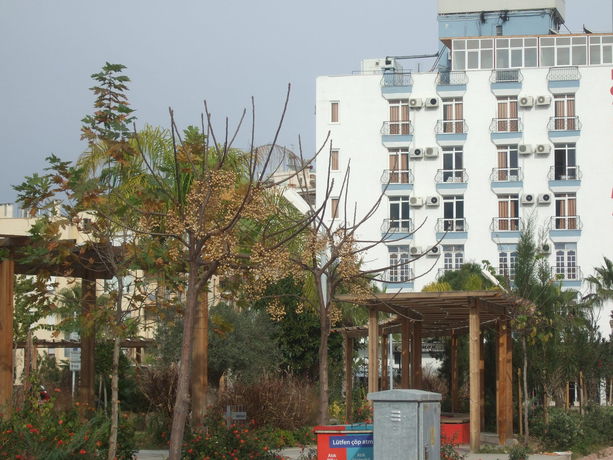 Imagen del bar/restaurante del Suntalia Hotel. Foto 4