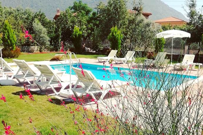 Imagen de la piscina del Sureyya Hotel. Foto 12