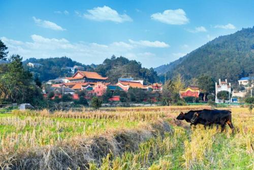 Imagen general del Suzhai Tang. Foto 7