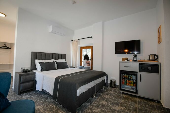 Imagen general del Swan Boutique Hotel. Foto 4