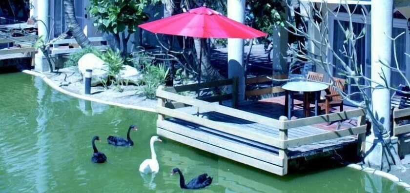 Imagen general del Swan Lake Villa Resort. Foto 11